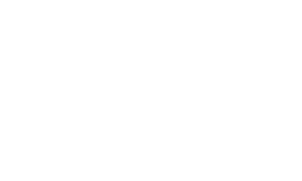 Eckler Limited consulting firm logo.