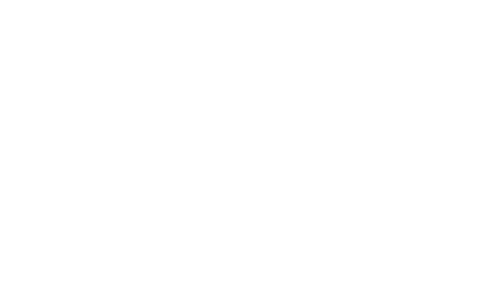 FleetOptics