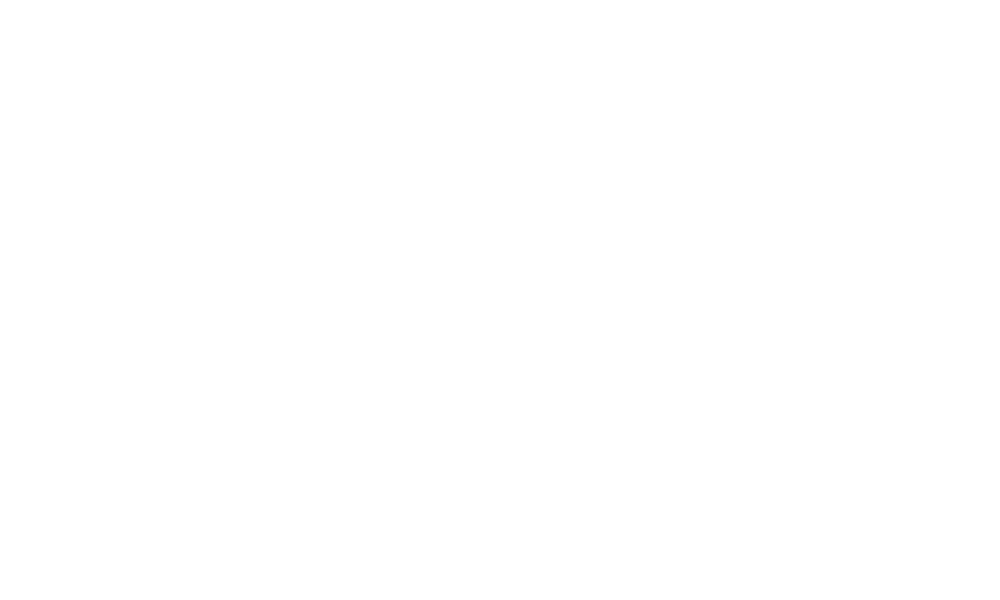 Perficient