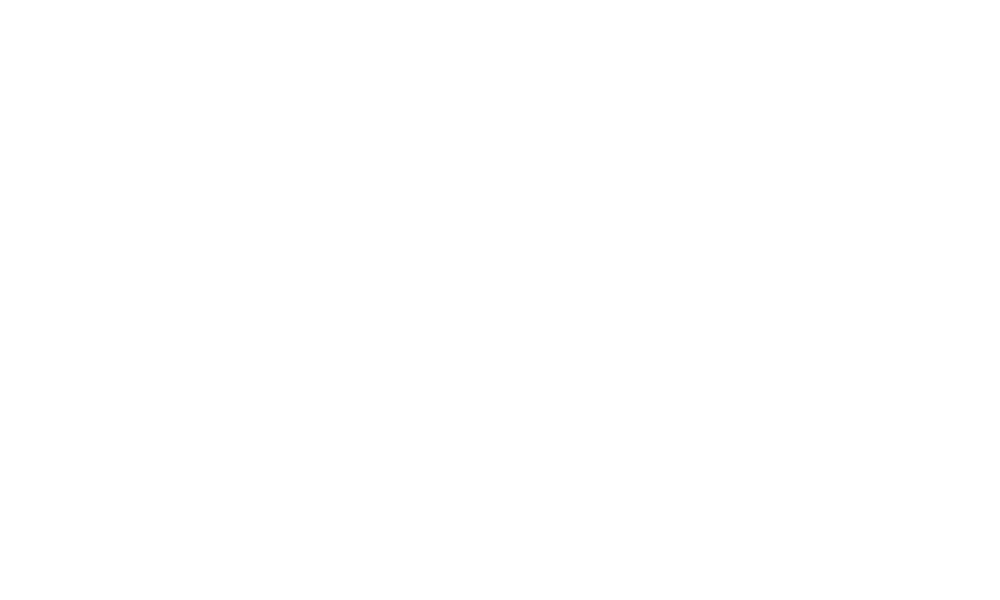 Velox Imaging